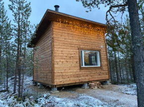 Aurora Husky Hut in Inari